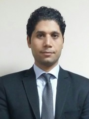 Waleed Farghaly